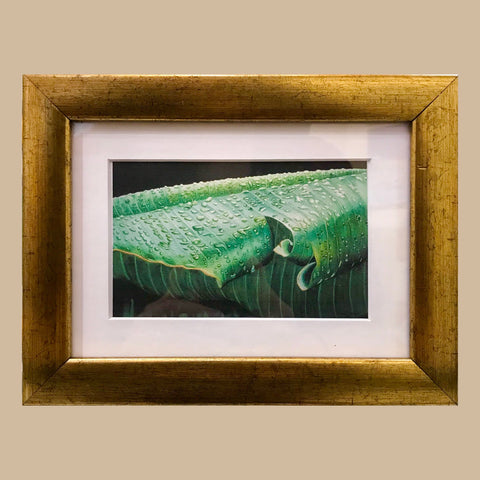 Banana Leaf II Print
