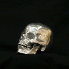 Polished Metal Skull